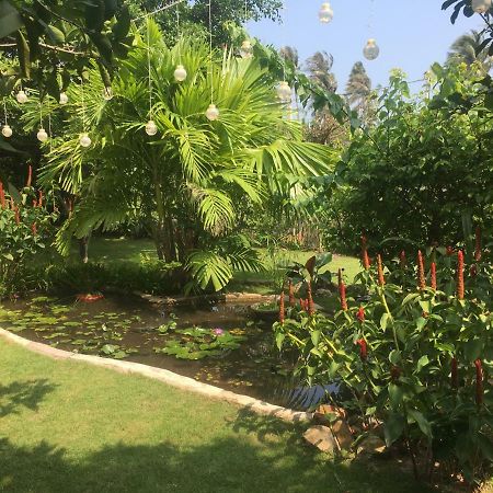 Le Jardin D'Alice Hotel Phan Thiết Eksteriør billede