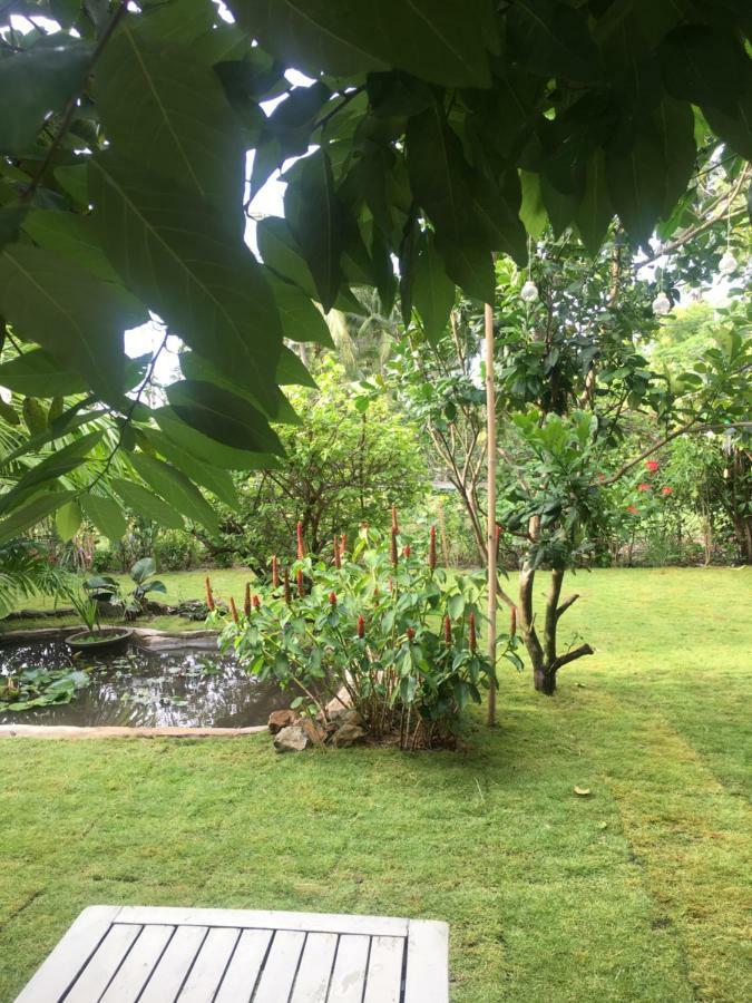 Le Jardin D'Alice Hotel Phan Thiết Eksteriør billede